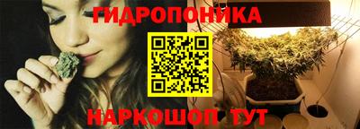 гашик Тулун