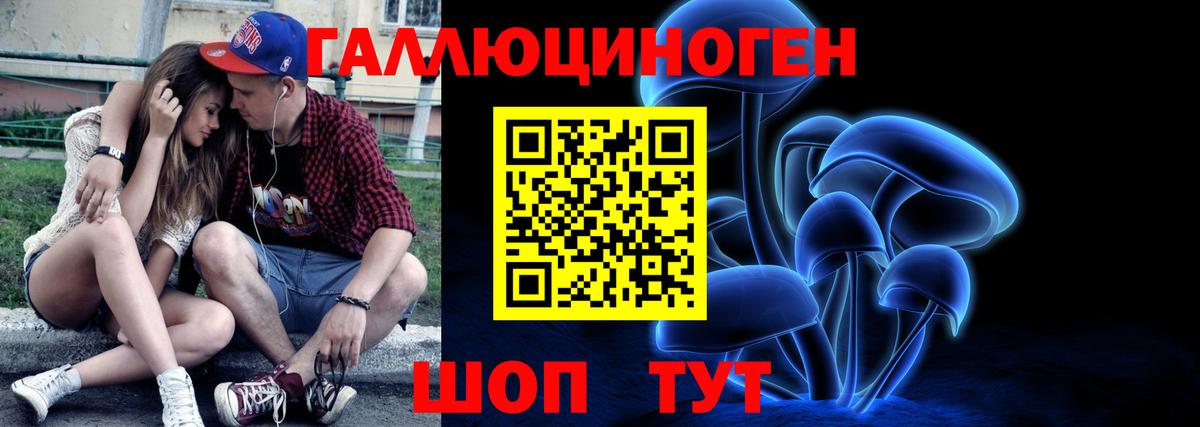 Асино  Псилоцибиновые грибы мухоморы  Вход с VPN 