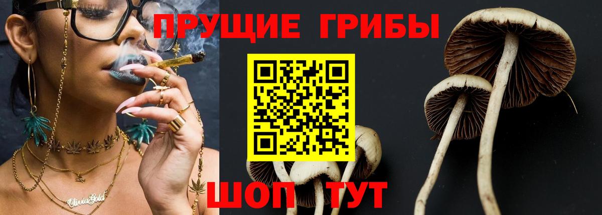 Галлюциногенные грибы прущие грибы Асино